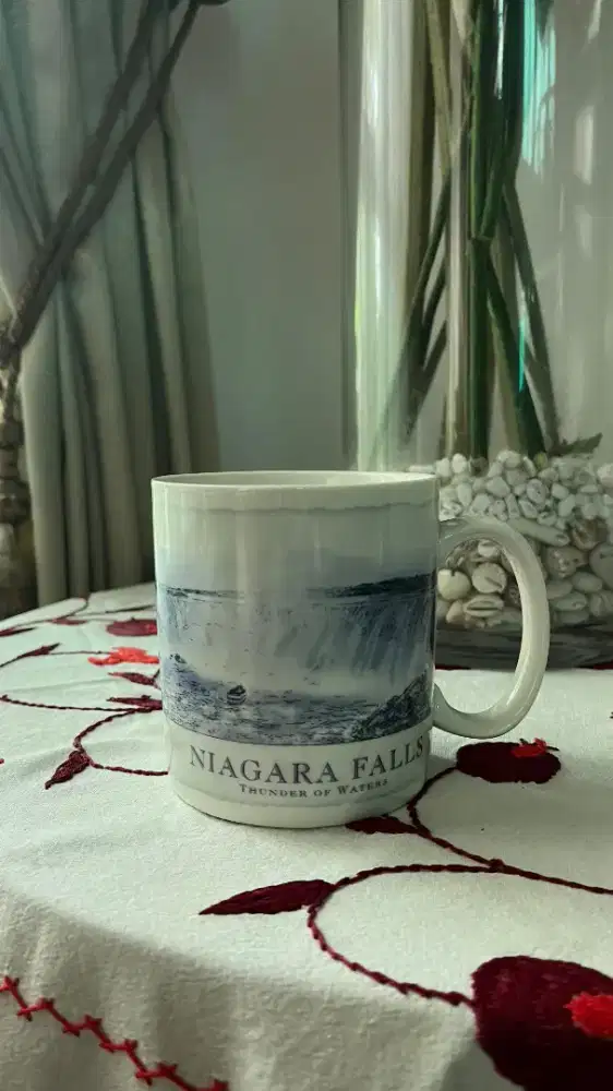 MUG Starbucks Niagara Falls