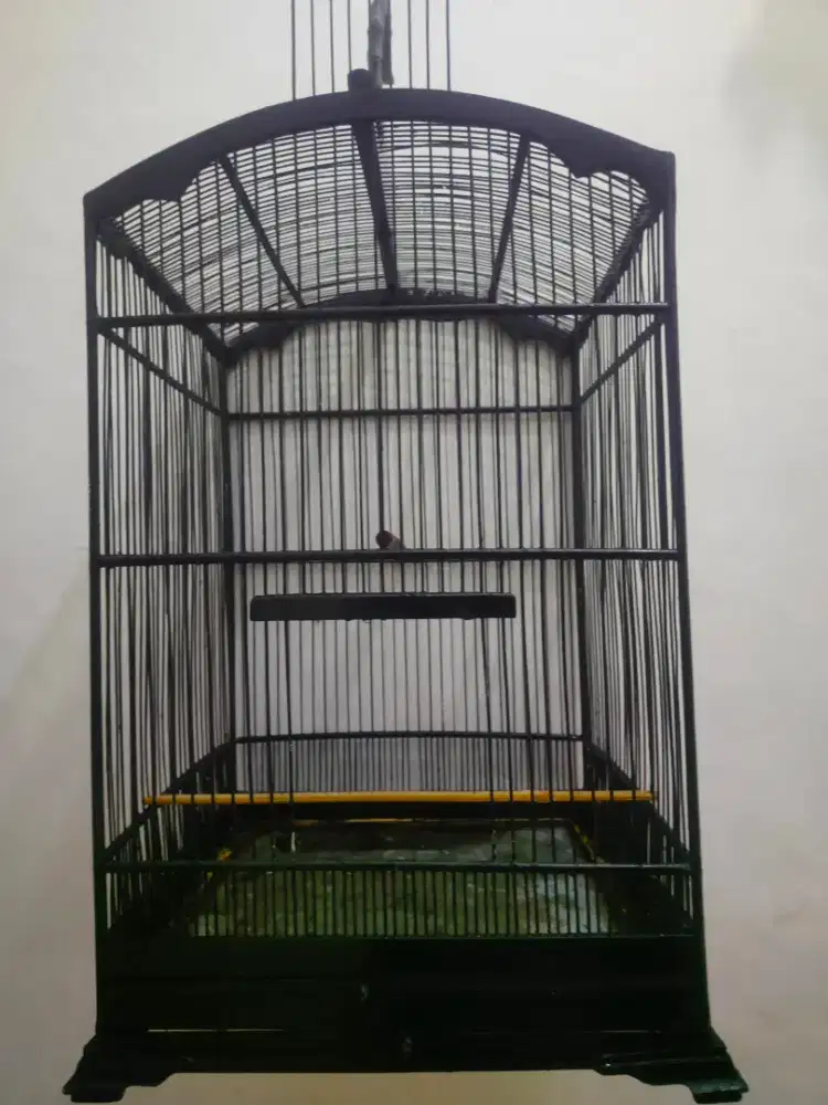 Sangkar UK.40x45 mumer