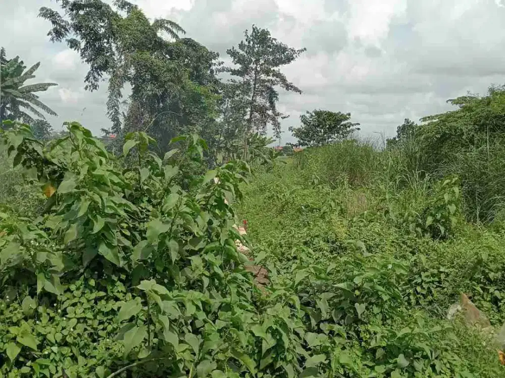 TANAH MURAH RAYA BY PASS KRIAN SIDOARJO DEKAT BUDURAN, GREBEK, SAFE AND LOCK, GEDANGAN, WARU