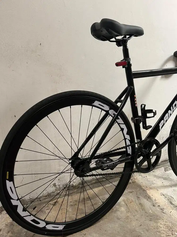 Pandora Coaster Bike/Sepeda Pandora