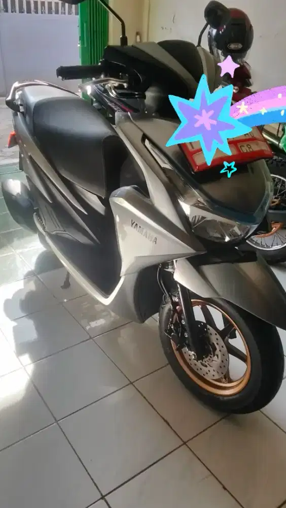 Jaul motor freego 2025