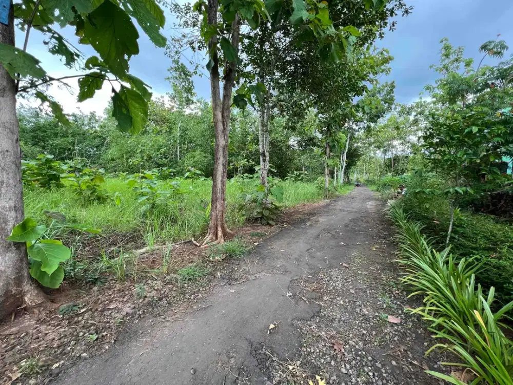 Jual tanah murah pekarangan strategis di Kota Karangmojo Gunung Kidul