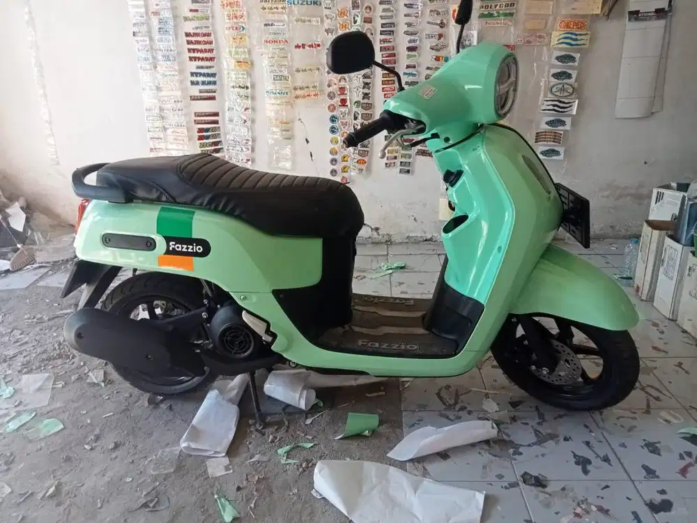 Fazzio hijau muda tahun 2024