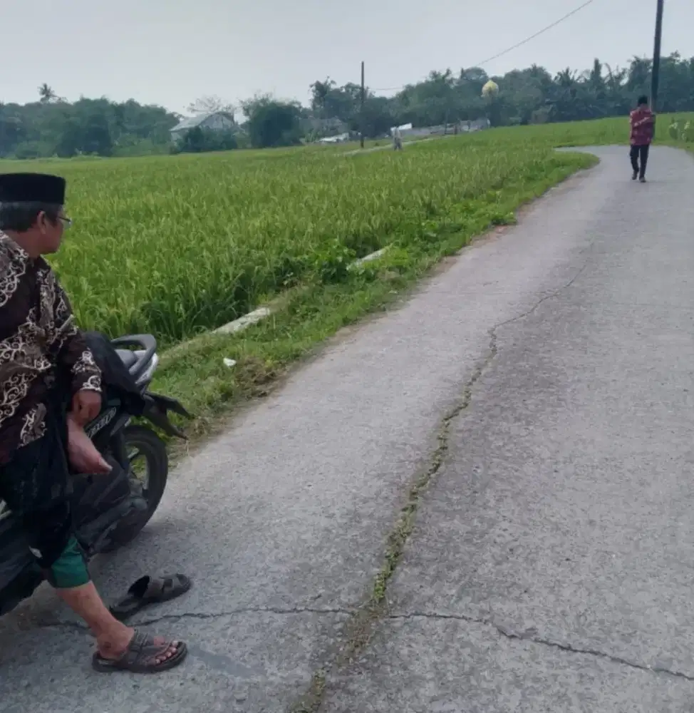 Tanah Sawah Produktif Murah Pinggir Jalan