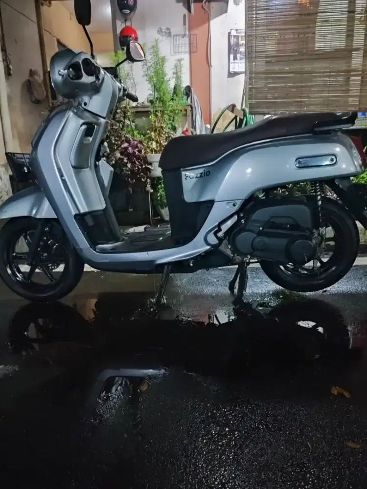 Fazzio 2022 silver lux