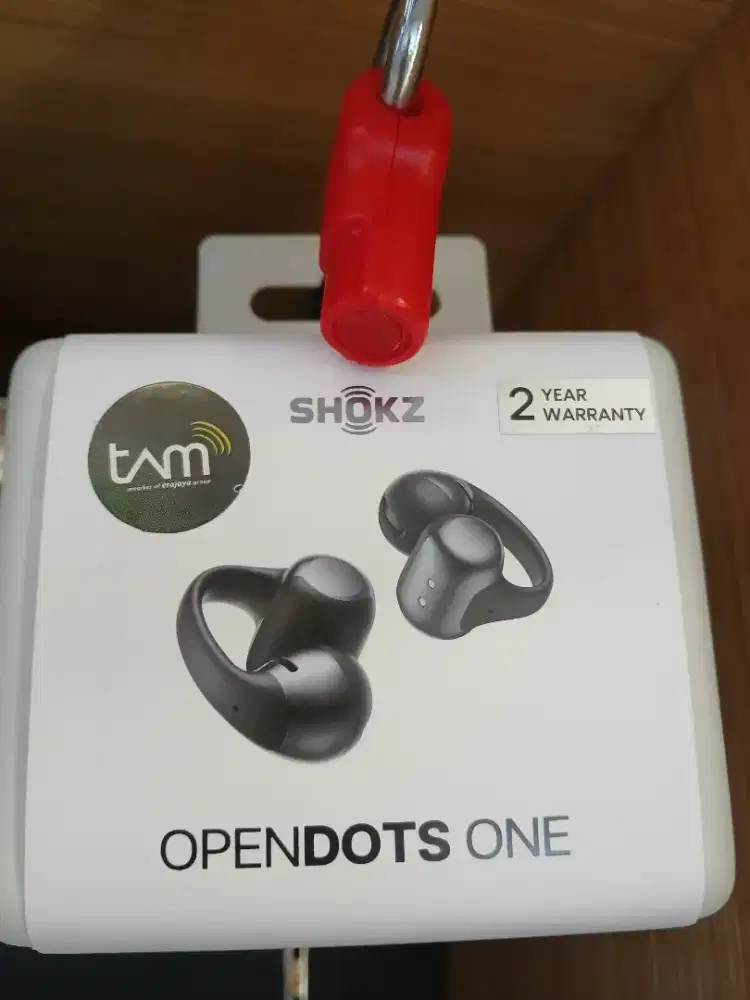 Open Ear Shozk Opendots one