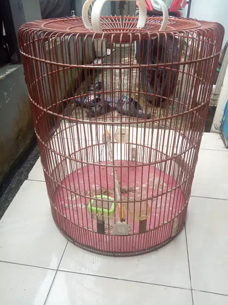 Jual kandang murai