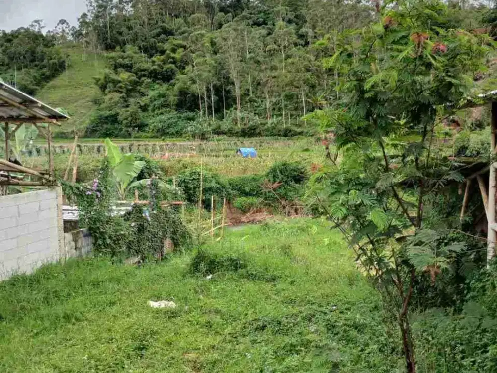 JUAL CEPAT TANAH MURAH CIWIDEY BANDUNG SELATAN