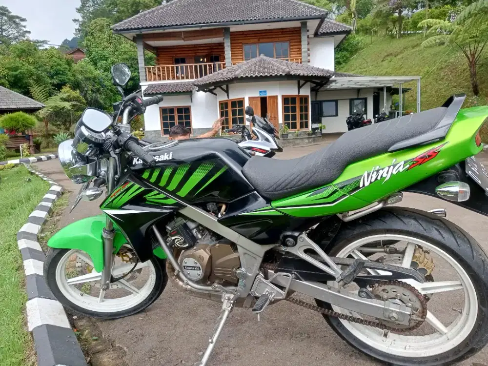 Ninja SS hijau zebra