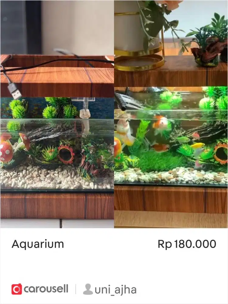 Aquarium mini + ornamen