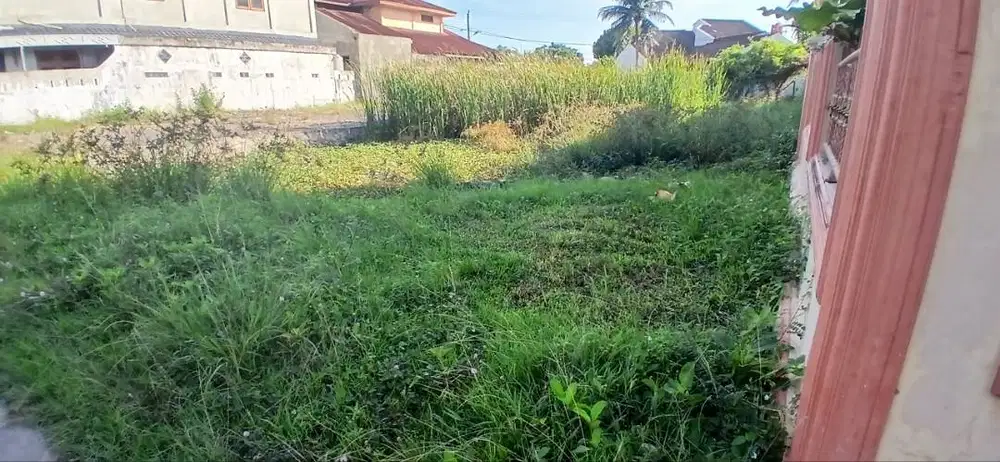 Potong rumput lamteumen sekitarnya