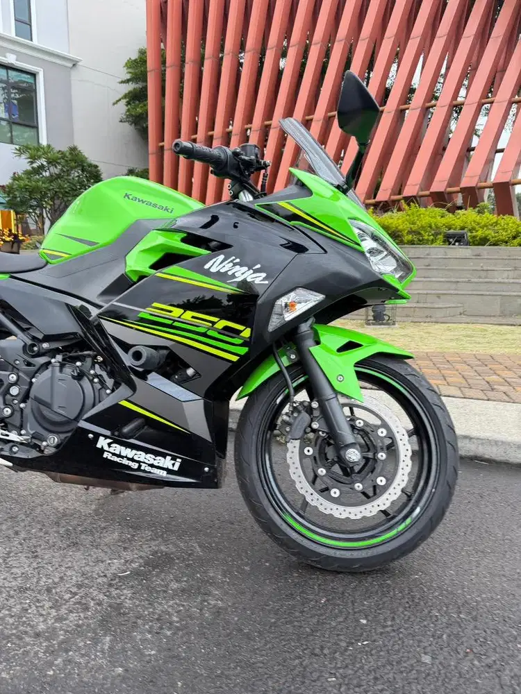Kawasaki Ninja 250 KRT 2019 Low KM, Gress40