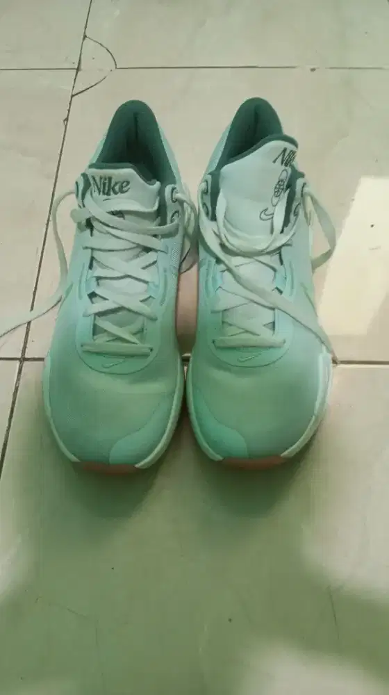 Sepatu Basket Nike Elevate 3 Size 43