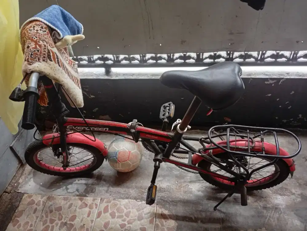 Sepeda anak evergreen