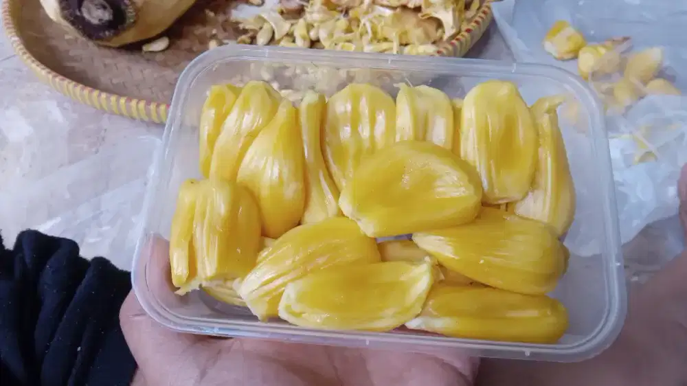 Nangka mateng non biji/biji