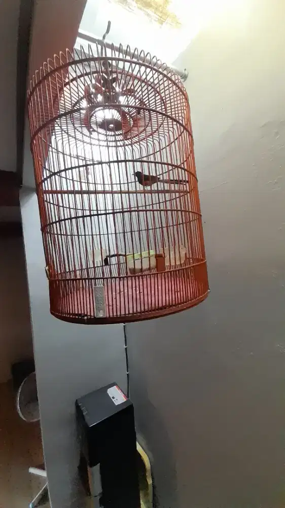 Murai medan full set