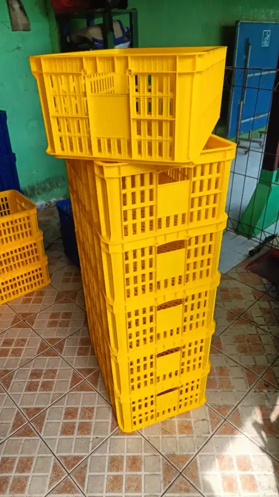 KERANJANG RABBIT 2004