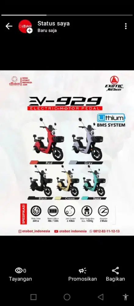 Sepeda Listrik Exotic EV929