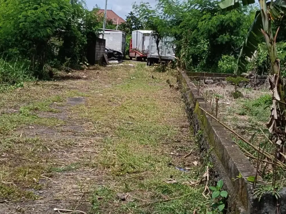 Jual Tanah  Di Jalan Padma Penatih Denpasar Blia. Dekat Ke Gatsu timur, Living maal, Trengguli, Seroja.