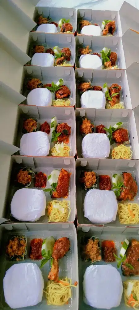 OPEN PO NASI KOTAK