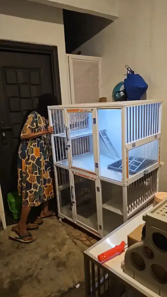 Kandang kucing plus kucing nya