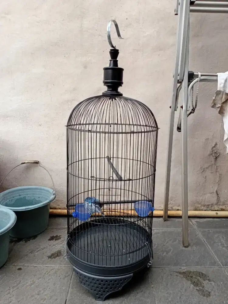 Kandang lovebird 99,9% baru