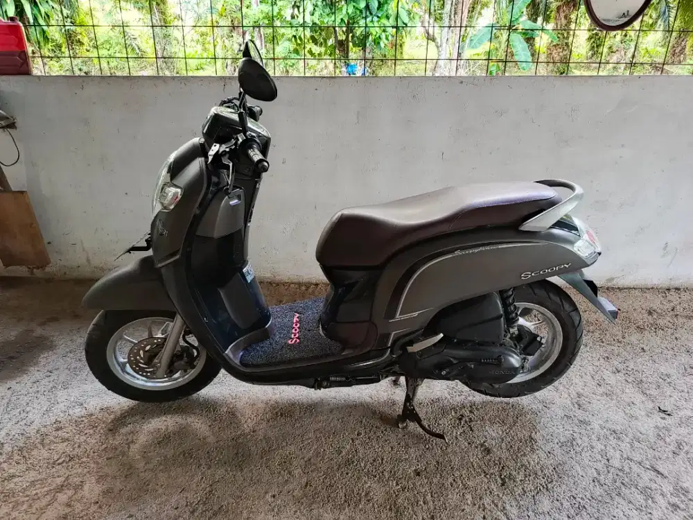 Scoopy Hidup Pajak