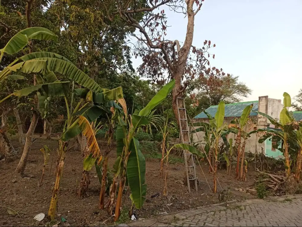 Dijual Tanah Murah Strategis