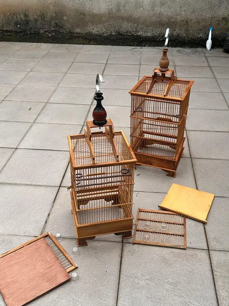 Kandang burung pleci