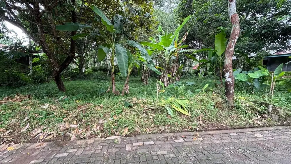 DIJUAL TANAH DI PAKINTELAN TANPA PERANTARA