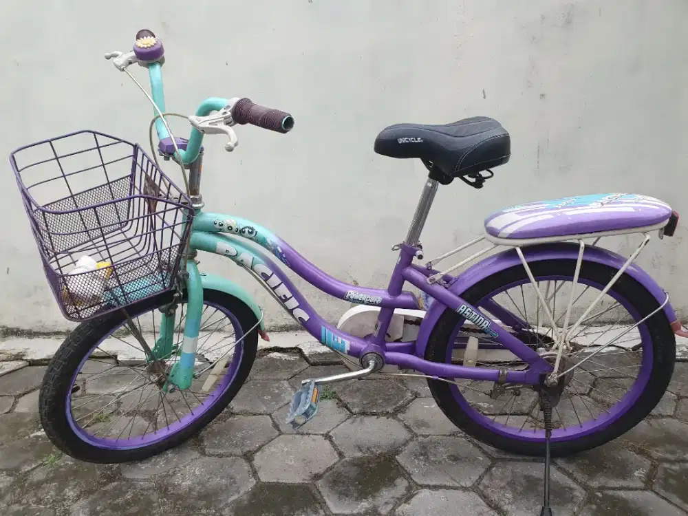 Jual sepeda cewek merk pasifik