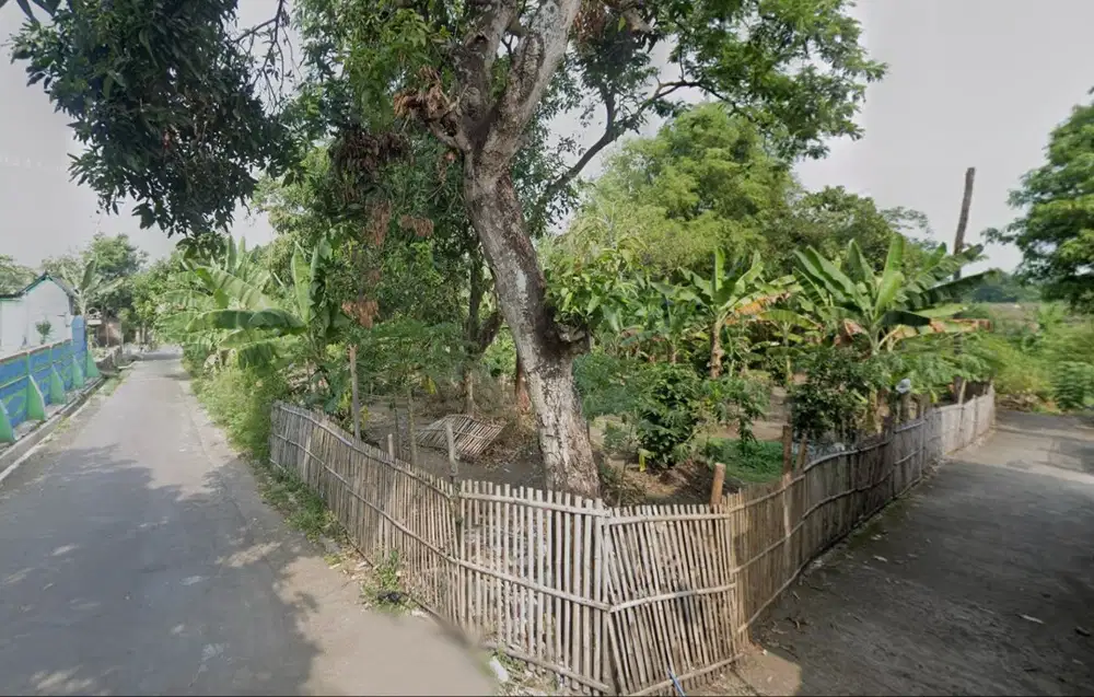 Dijual Tanah SHM luas 1165 m2 dekat SMA 1 Polanharjo