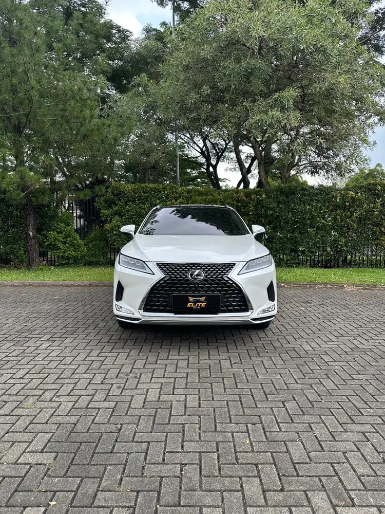 Lexus RX 300 Luxury 2021 Service Record Bergaransi