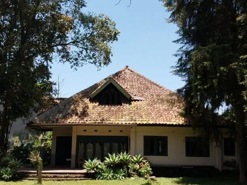 Jual Rumah Classic Belanda Tanah Luas di Lembang Bandung Utara