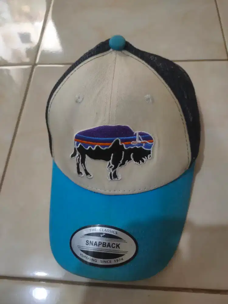 Pantagonia topi jaring