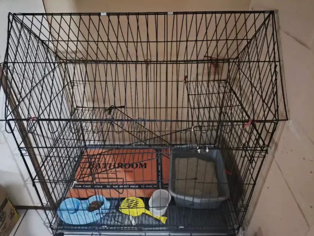 Jual kandang kucing