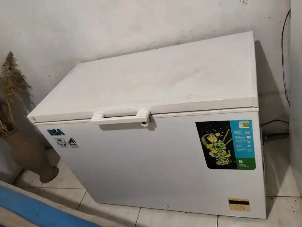 Freezer RSA CF310 300 liter