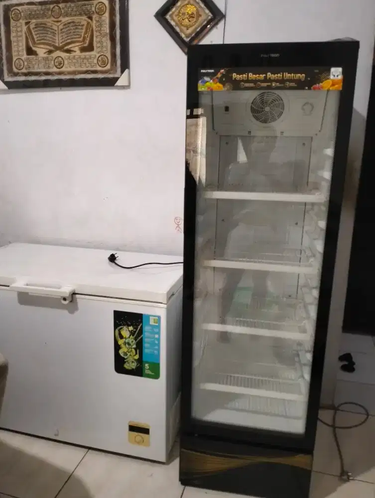 Showcase Polytron SCN 237