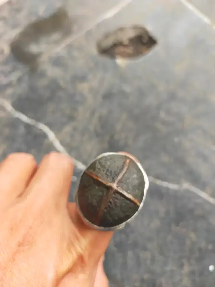 tapak jalak tali kuning lawasan tua