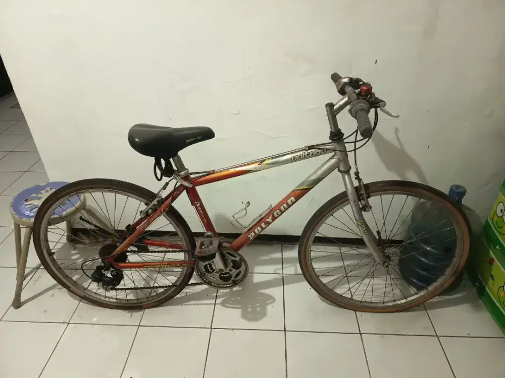 Sepeda bekas polygon