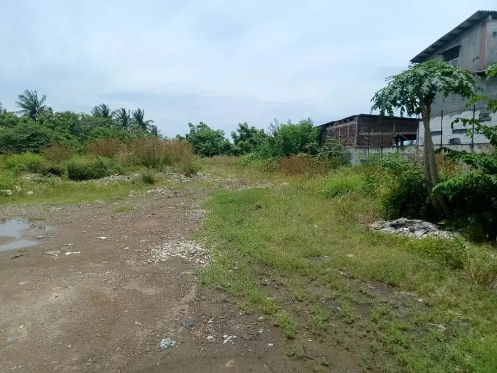 NEGO SAMPAI DEAL Tanah SHM Akses Container di Kalibaru Pakuhaji Tangerang