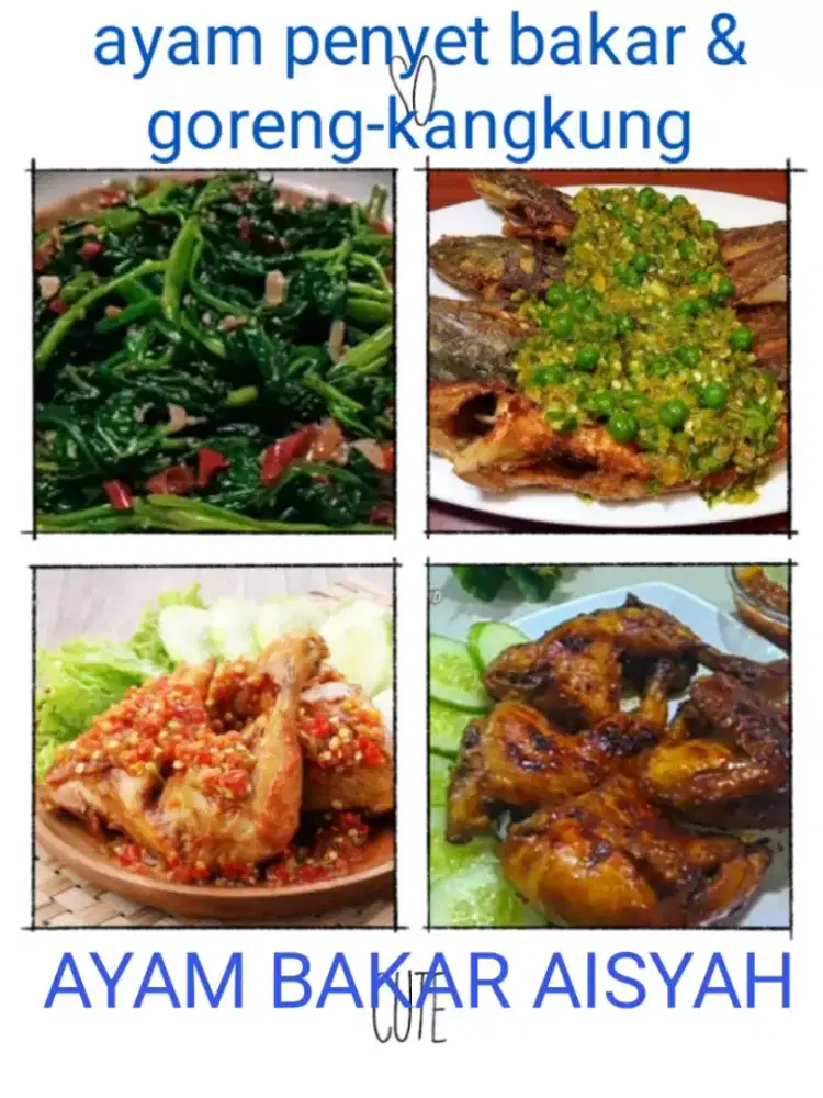 Ayam penyet bakar & goreng