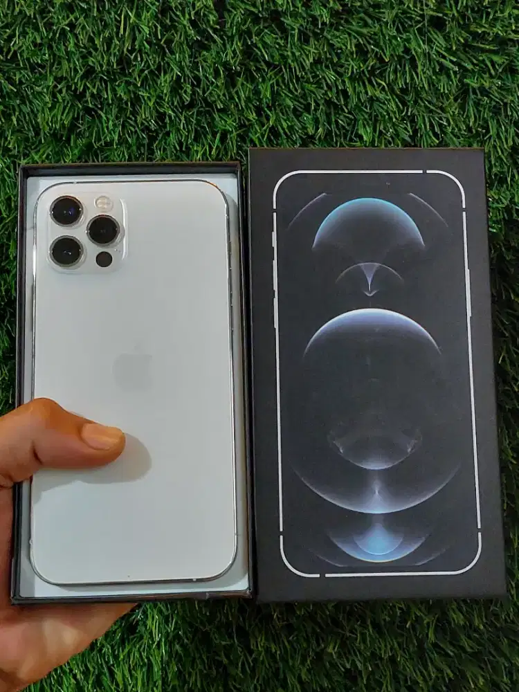 iphone 12 pro silver 256gb ibox