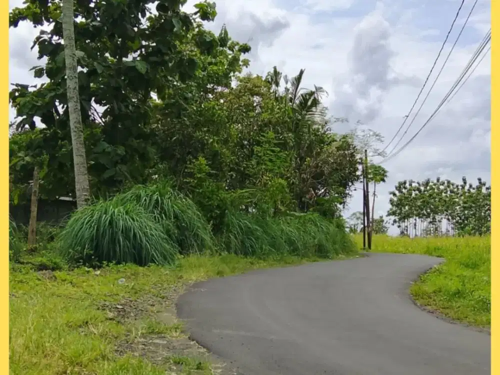 Tanah Jogja SHM Pekarangan Siap AJB Notaris Bisa Dicicil