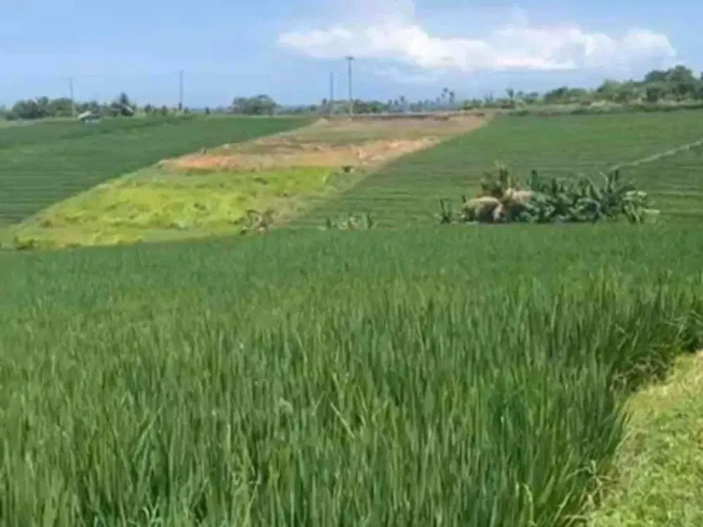 jual tanah dekat pantai soka dan pantai antap