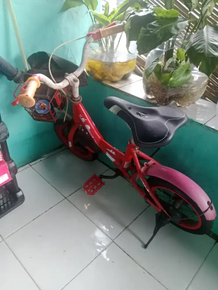 Sepeda anak kecil