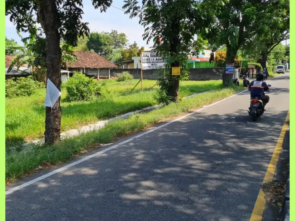 Tanah Jogja Sleman Siap Bangun Tepi Jl Ringroad Yogyakarta