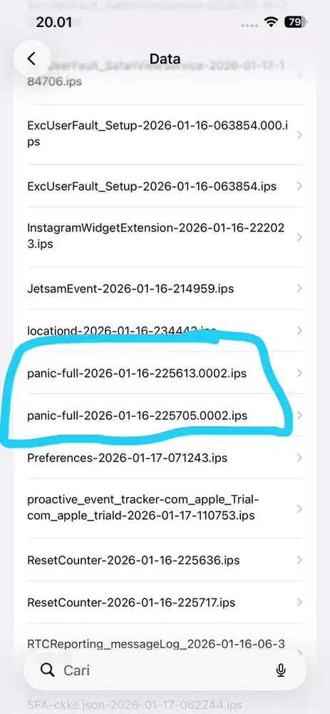 Jual aja panic full ip 13 128
