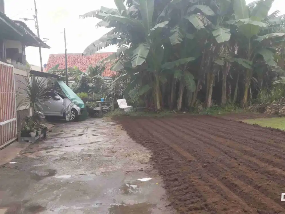 Cari Tanah Kavling Murah Di Jakarta Timur