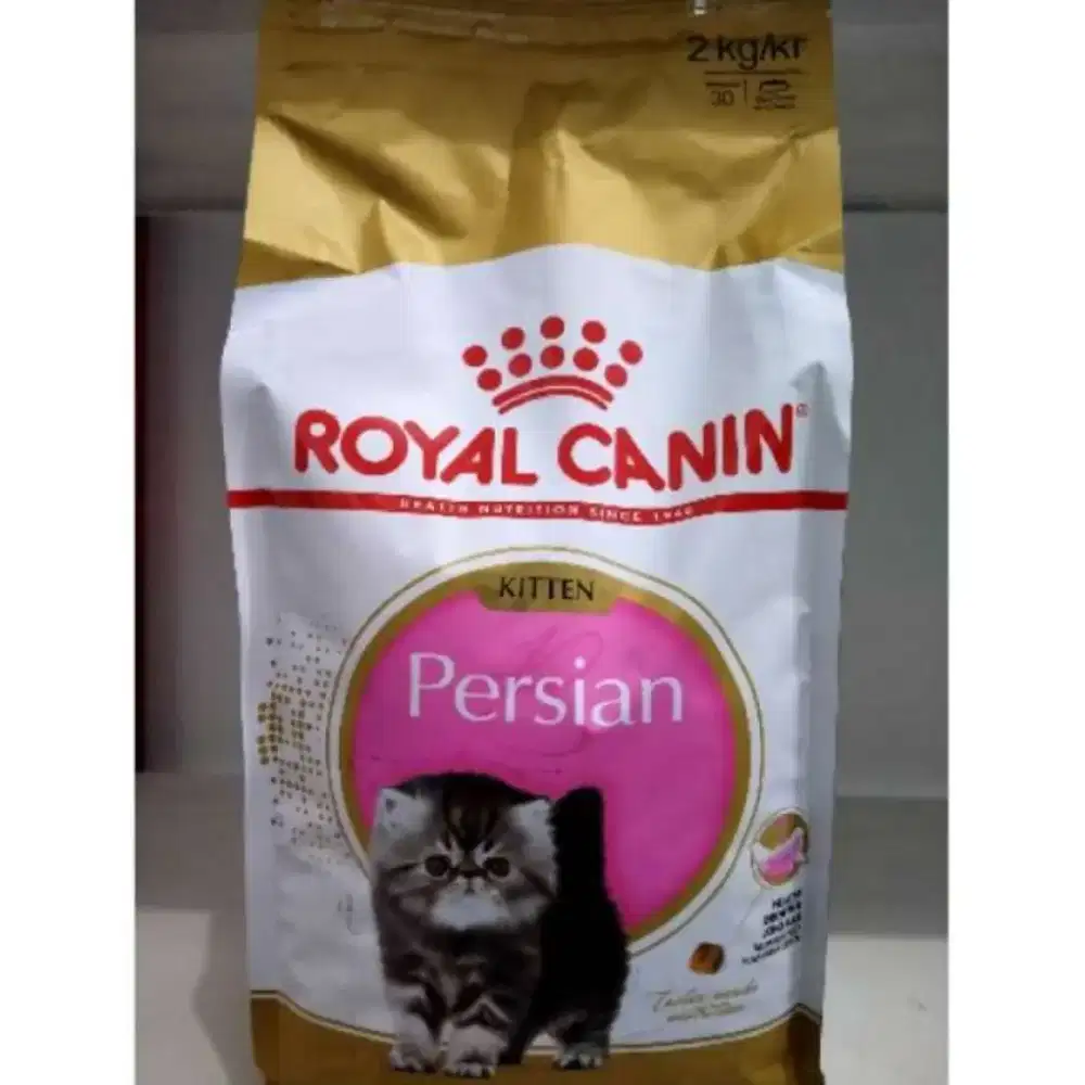 royal canin kitten persian 2kg